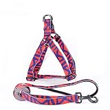 Adecuado para gatos y perros, como bulldogs, chihuahuas, beagles, yorkshire terriers, dachshunds, pomeranians, basset hounds, basings, corgis, bichon frises, papillons, pequeños sabuesos, caniches, perros pequeños, perros medianos y grandes.
