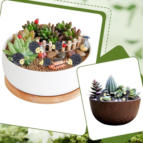 Decoración de jardín de hadas con 40 erizos miniatura de resina 7