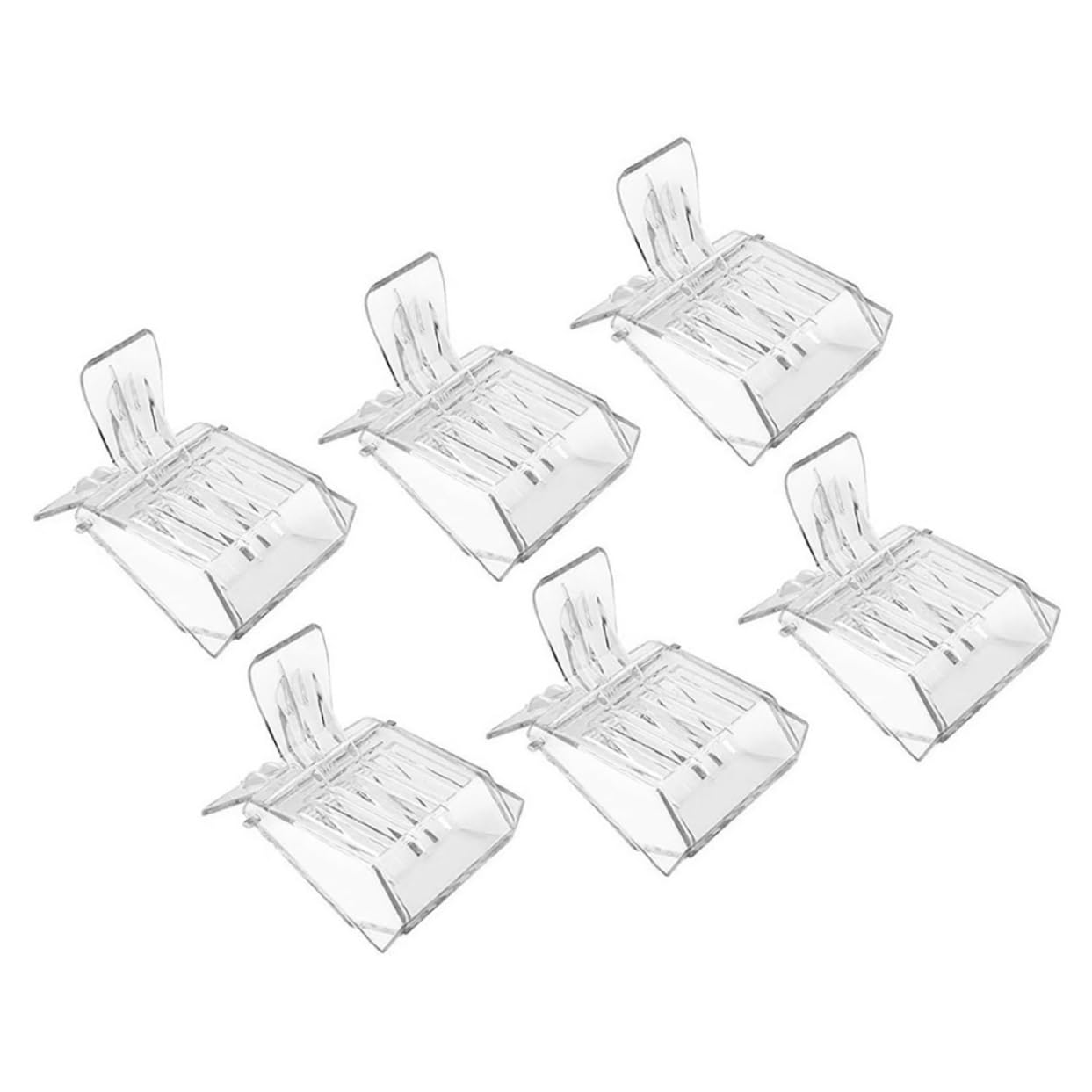 ifundom 4 Set Cage Per Regine Delle Api Strumenti Apicoltura Facili Da Usare E Resistenti Kit Per Apicoltori Attrezzatura Affidabile Per Allevamento Pezzi*4