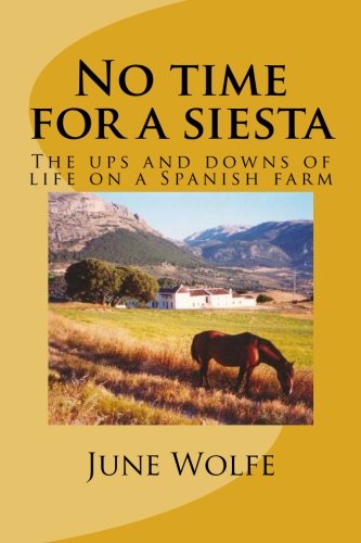 No time for a siesta: Volume 1