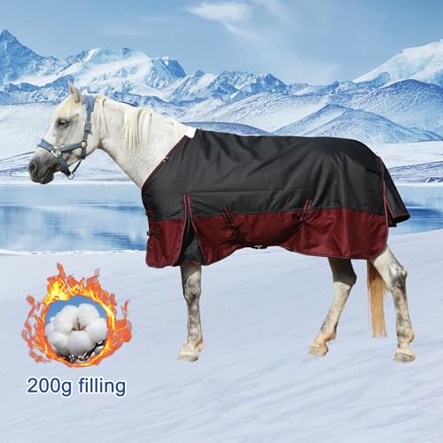 Couverture cheval imperméable et respirante hiver 200g Leberna 1,75m - 5
