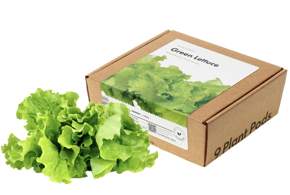 Smart Garden Green Lettuce Plant Pods, 9-Pack