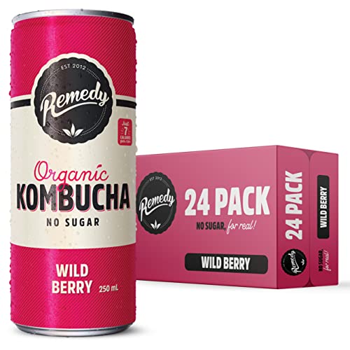 Remedy Drinks Organic Kombucha Wild Berry 250ml (Pack of 24)