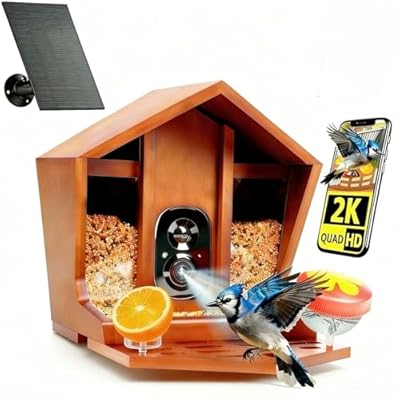 Birdster Smart Bird Feeder with Camera Solar Powered AI Identification 10,000+ Bird 2K UHD Video Live Instant Arrival Alerts and Real-Time Motion Detection Weatherproof Bamboo for Outdoor Birds Lovers