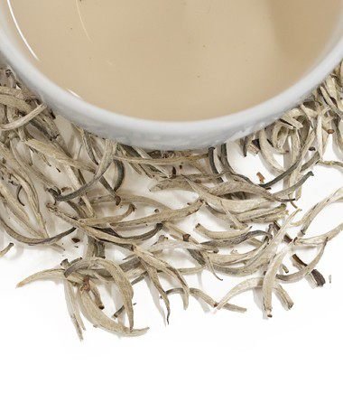 Amazon.com : Ceylon Silver Tips White Tea - Loose (16 Oz) Bag : Grocery ...