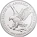 Dragonfly Colorized American Silver Eagle Coin, Collectible Gift