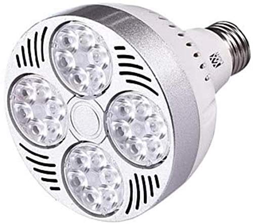 Ampoule PAR30 LED E27 blanc chaud 35W de remplacement pour lampe halogénure