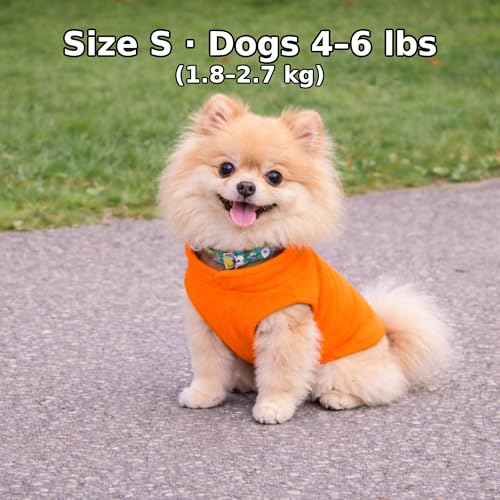 Image of JACKO & CO - Fleece Vest Dog Sweater with Leash Ring - Soft, Warm & Lightweight Pullover Coat for Small & Medium Dogs, Puppies & Cats - Cozy Fall /Winter /Spring Pet Jacket (Orange, Small 2-4lbs)