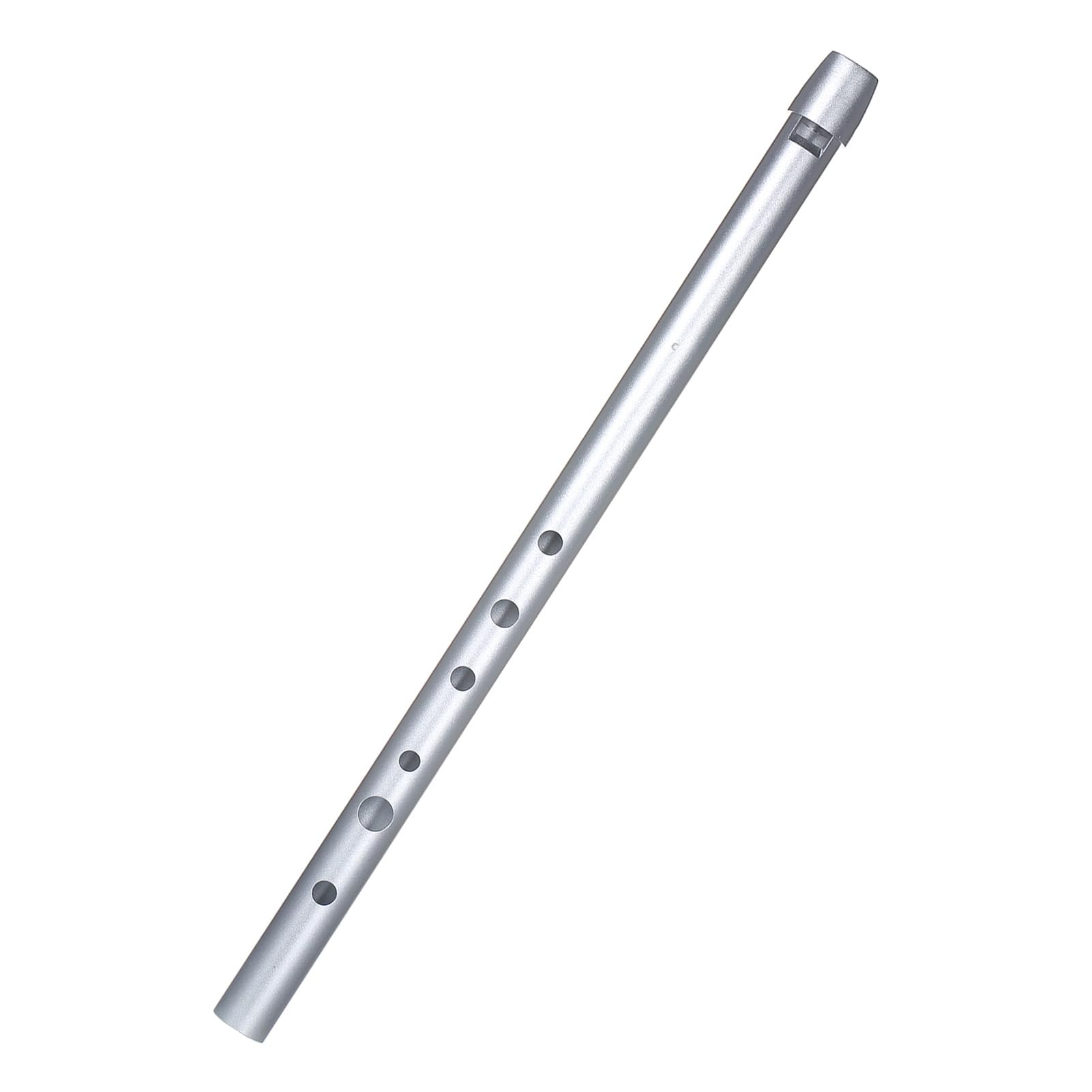 Sifflet Irlandais Traditionnel en étain pour Débutants, Facile à Jouer, clé de D, Instrument de Musique à Vent pour Débutants, Matériau étui Transparent, adapté aux, Intermédiaires et (Clé