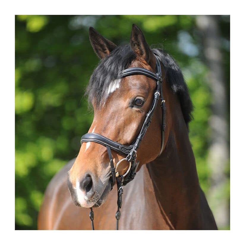 Kavalkade Trense Ivy - Lammfell Zaumzeug Für Pferde Elegant