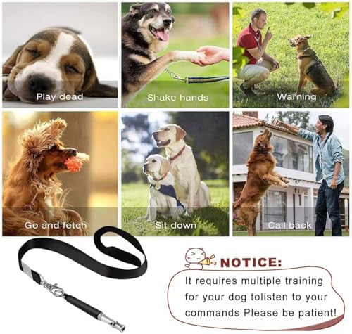 Dog Training Whistle in Action