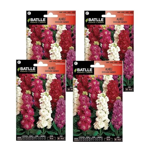Semillas de alheli colores variados de Semillas Batlle PACK (4)
