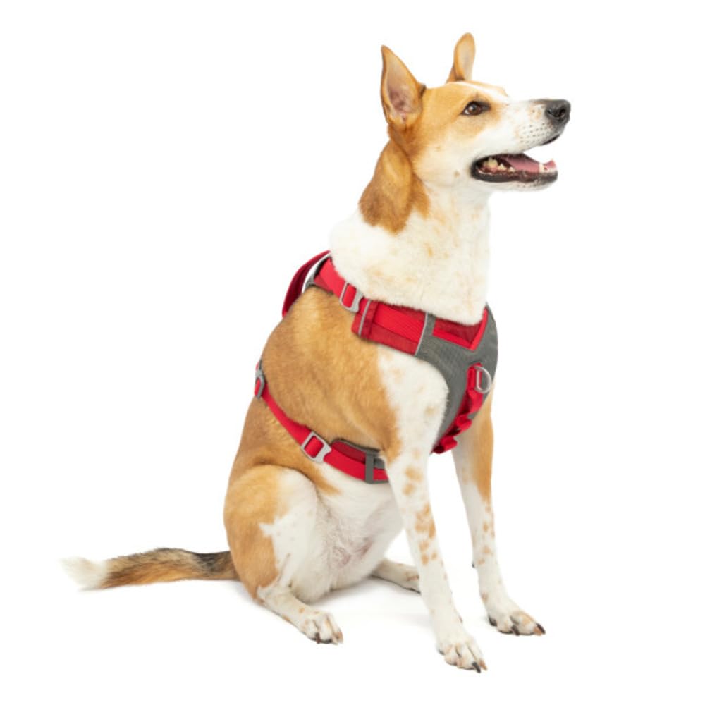 Kurgo Journey Air Hundegeschirr, XL, Rot | Gepolstertes Bruststück, Leichtes Ripstop, Atmungsaktiv, Reflektierend