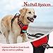 rabbitgoo Dog Harness No Pull with 2 Leash Clips, Adjustable Soft Padded, Reflective Oxford No Choke Pet Vest with Easy Control Handle for Large Dogs, Red, XL