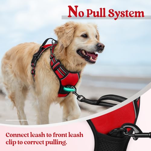 Image of rabbitgoo Dog Harness No Pull with 2 Leash Clips, Adjustable Soft Padded, Reflective Oxford No Choke Pet Vest with Easy Control Handle for Medium Sized Dogs, Red, M