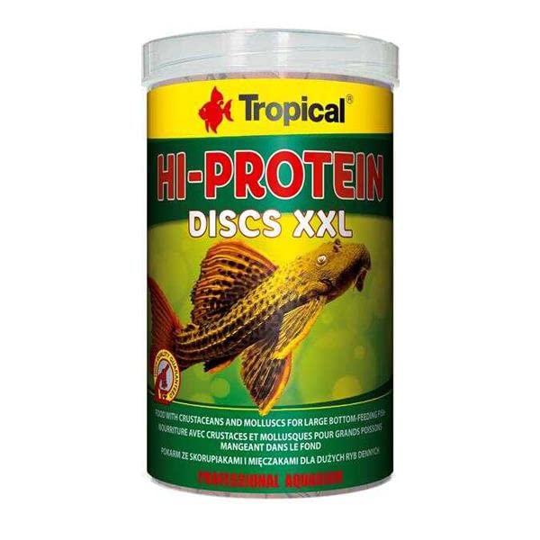 High Protein Discus Xxl Kovadan Bölme 100 g