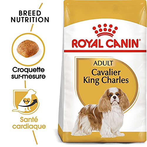Royal Canin Cavalier King Charles Adult | 1,5 kg | Trockenfutter für Hunde | Kann die natürlichen Abwehrkräfte und Herzgesundheit unterstützen | Könnte Verdauung fördern