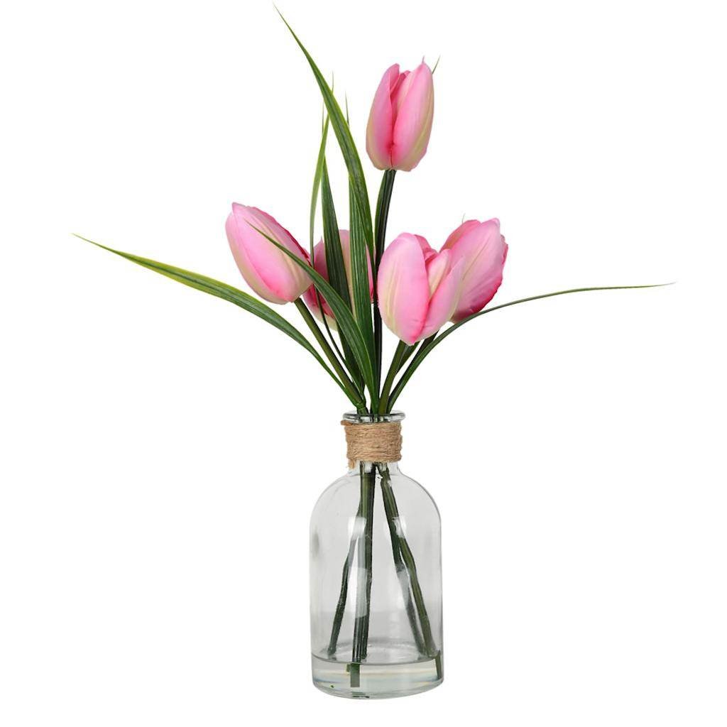Tulip Bulbs In Glass Vase Decor For You