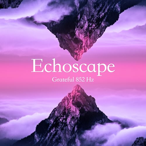 Echoscape