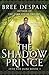 The Shadow Prince (Into the Dark)