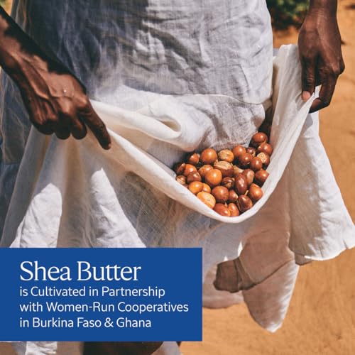 LOccitane-Cocon-de-Serenite-Solidarity-Hand-Cream-100-oz 51CXcACfHbL