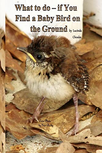 What to do- if You Find a Baby Bird on