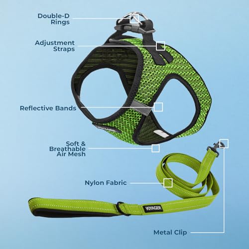Image of Voyager Step-in Air All Weather Mesh Harness and Reflective Dog 5 ft Leash Combo with Neoprene Handle, for Small, Medium and Large Breed Puppies by Best Pet Supplies - Lime Green (2-Tone), XL