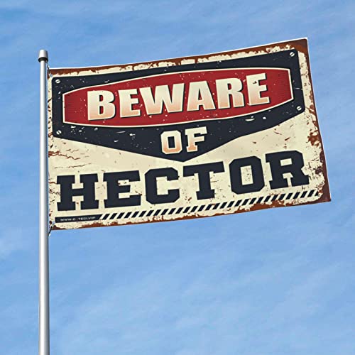 Poster cool drapeaux Hector : le cadeau de décoration parfait pour chambre d'ado