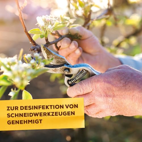Solabiol Grundstoff Acetum, unterstützt die Beseitigung von Unkraut auf Wegen, Plätzen und Terrassen, 3 Liter Kanister – Ansicht 6