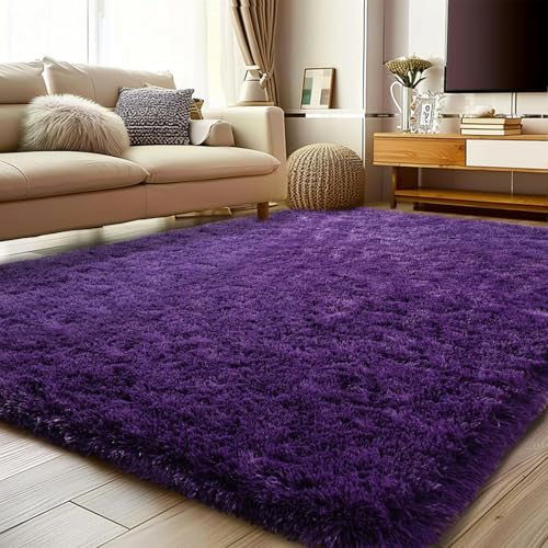 BSGIFT Tapis de Salon 200x300, Grand Tapis Poil Long pour Chambre Parentale & Séjour, Rug Moelleux...