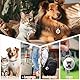 Rppiup GPS Tracker für Katzen Hunde, Mini GPS Tracker Hund Katze Ohne ABO, Wasserdicht Tracker Hund, Katzen Tracker, Live-Ortung, Haustier Tracker GPS für Katzen, Hunde, Kofferraum, Rucksack, Model A