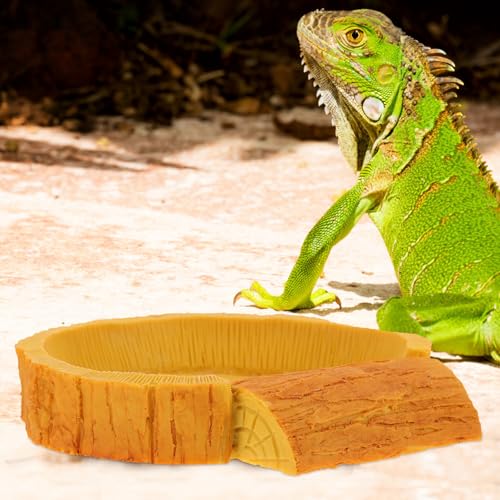 HOMSFOU Wasser und Futterschale für Reptiliengehege Geeignet für Hermanns Schildkröten Eidechsen und Spinnen