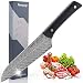 TANSUNG Kitchen Knife 8 Inch, 2mm Thickness Multifunctional Cooking Knife with Damascus Ripple Design, 58 HRC Carbon Stainless Steel Chef Knife with Ebony Handle