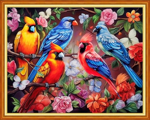 Image of Dooxvey Cross Stitch Kits for Adults Stamped Full Range of Embroidery Starter Kits for Beginners 11CT Printed Cross Stitch Patterns Needlepoint Kits Stamped Crossstitching-Birds Flowers 16x20 inch