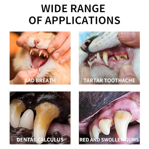 Hortelãs para cães para mau hálito, spray para hálito de cães,Spray ambientador para cães Spray para