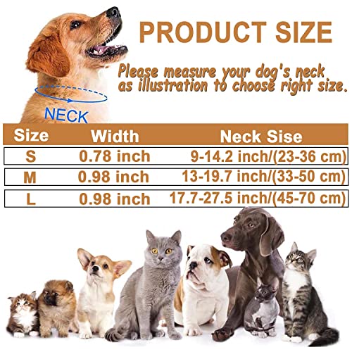 Dog Collar, Reflective Adjustable Basic Dog Collar with Soft Neoprene Padding, Durable Nylon Pet Collars for Puppy Medium Dogs - Image 3