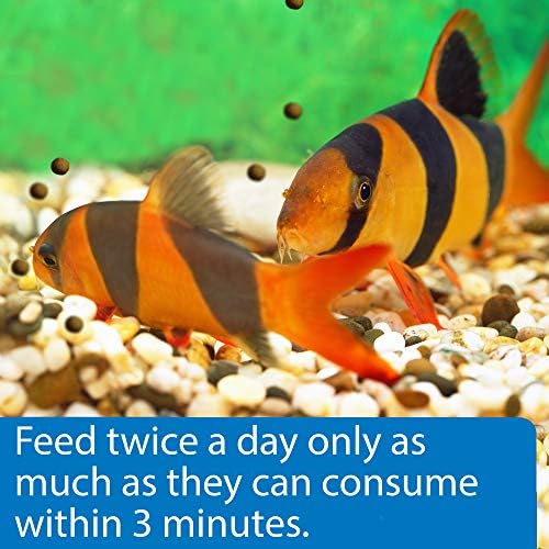 API BOTTOM FEEDER PELLETS WITH SQUID Fish Food 4.0-Ounce Container - 3