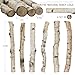 Uplama 6Pack Small Birch Logs for Fireplace Unfinished Wood Crafts DIY Home Decorative Burning,Fireplace Log Set (0.78''-1.18'' Dia. x 12