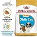 Royal Canin Shih Tzu Puppy 1,5 kg