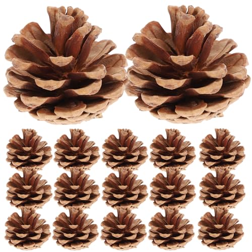 Pommes de pin naturelles durables de qualité pour décor de Noël - 2