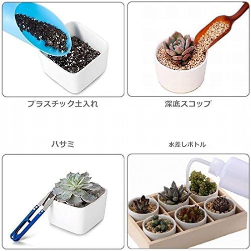 Amazon Fiveastar 多肉植物 寄せ植え ミニ 園芸 ツール セット ガーデニング 用品 インテリア 土 苗 肥料 鉢 室内 テラリウム ハオルチア サボテン 観葉植物 シャベル スコップ T型 フラワーラベル 10枚 付き A303 15種類 鉢