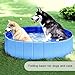 Faltbarer Hundepool, 30×10cm Katzenpool Klein,Blau Katzen Planschbecken,Hunde Planschbecken,Faltbarer Haustierpool für Katze Hund,Hund Schwimmbecken Tragbare,PVC Hundepool Schwimmbad für Baden Spielen