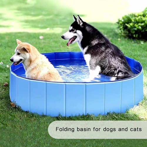 Faltbarer Hundepool, 30×10cm Katzenpool Klein,Blau Katzen Planschbecken,Hunde Planschbecken,Faltbarer Haustierpool für Katze Hund,Hund Schwimmbecken Tragbare,PVC Hundepool Schwimmbad für Baden Spielen