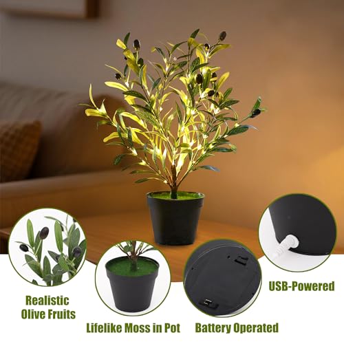 Image of Artificial Olive Tree Lamp, Faux Olive Tree and Fruits Artificial Plant Twinkling Tree for Office House Living Room Bedroom Stairs Foye Coffe Shop Store Home Decor, Christmas Birthday Gifts for Women