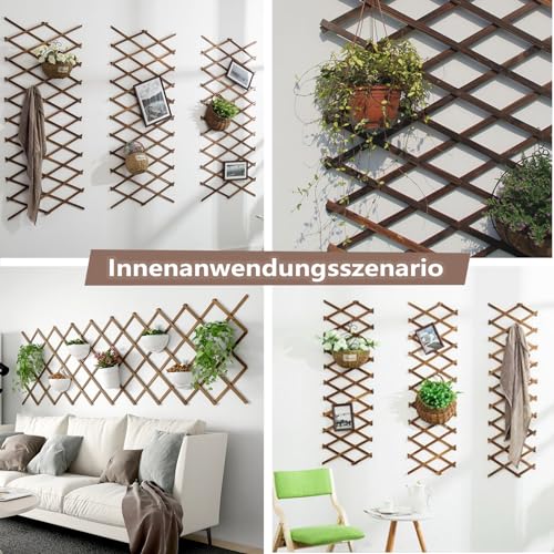 LANZLC Rankgitter Holz Ausziehbar, Holzspalier 200 x 30cm Gartenzaun Holzzaun Deko Scherengitter Verstellbar Pflanzengitter Gartengitte Trellis Hartholz Spalier für Balkone und Gärten, Naturholzfarbe