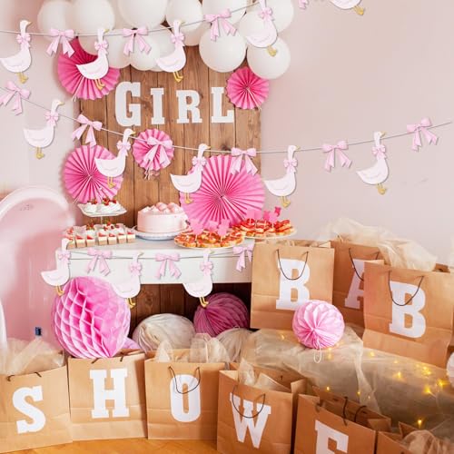 Image of TaoBary Pink 2 Set Bow Silly Goose Birthday Banner Silly Goose Party Decoration for Farm Animal Baby Shower Birthday Party Decorations