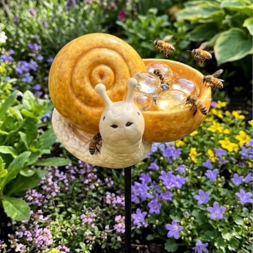 Bain d'abeilles grenouille pour un jardin vivant et fleuri - 4