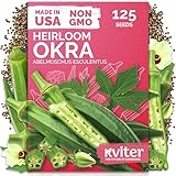 KVITER 125 Clemson Spineless 80 Okra Seeds for Planting (Abelmoschus esculentus) – Heirloom & Organic Okra, Spineless Pods, Heavy Yields – Vegetable Seeds to Plant in Outdoor Garden