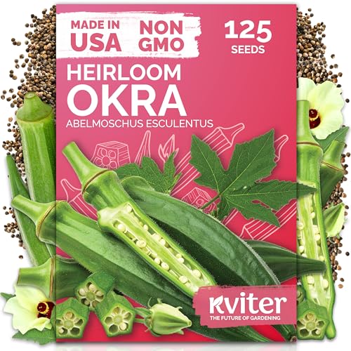 KVITER 125 Clemson Spineless 80 Okra Seeds for Planting (Abelmoschus esculentus) â€“ Heirloom & Organic Okra, Spineless Pods, Heavy Yields â€“ Vegetable Seeds to Plant in Outdoor Garden