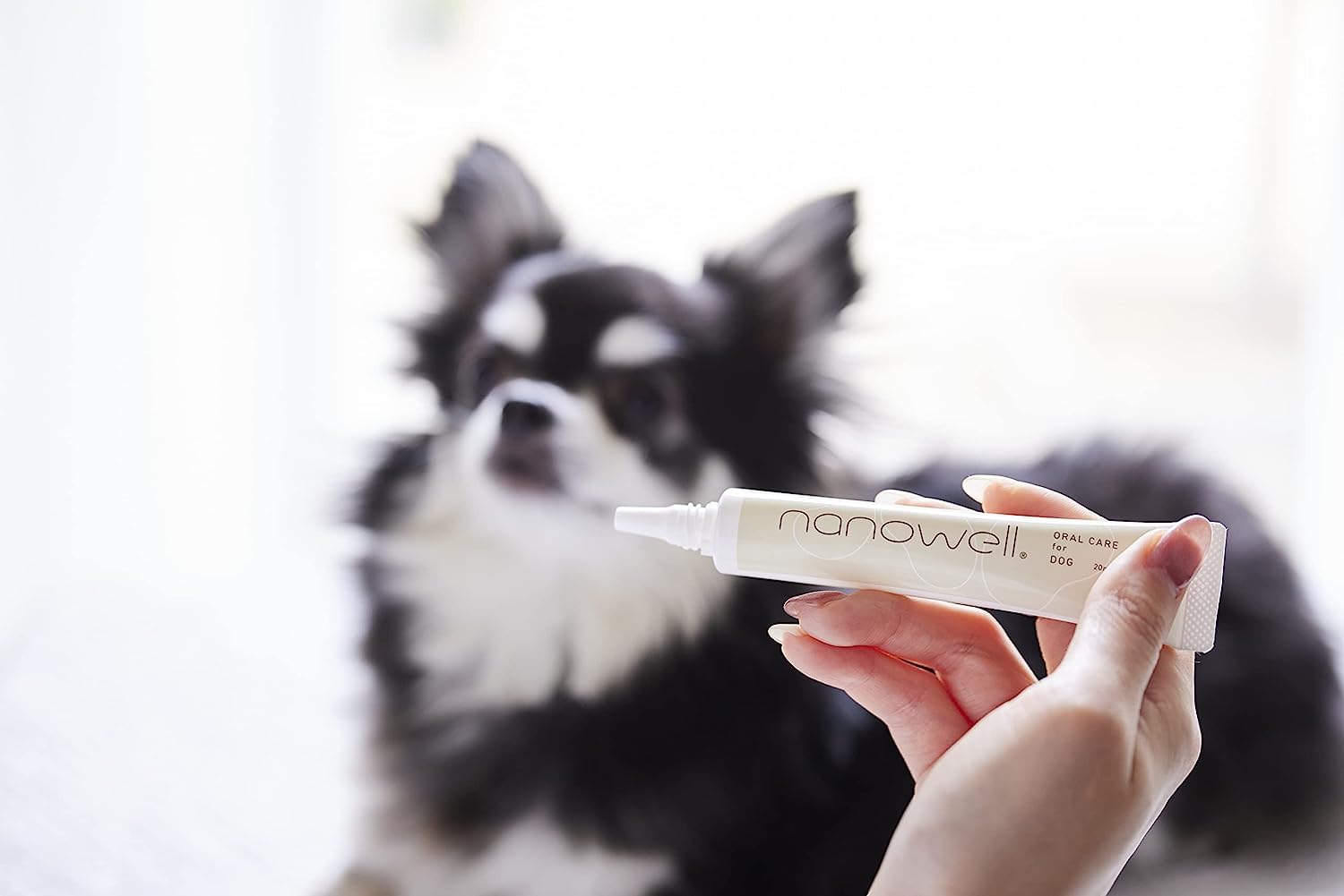 Amazon.co.jp: ナノウエルオーラルケア for DOG(愛犬用) 20ml × 2本